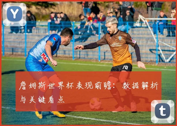 詹姆斯世界杯表现前瞻：数据解析与关键看点
