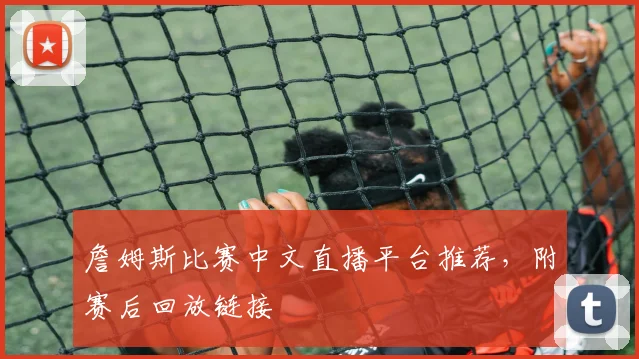 詹姆斯比赛中文直播平台推荐,附赛后回放链接